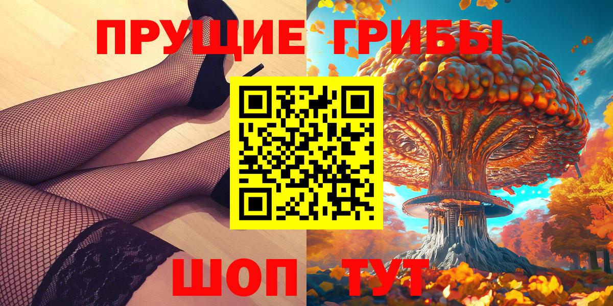 Галлюциногенные грибы Psilocybe Кимовск